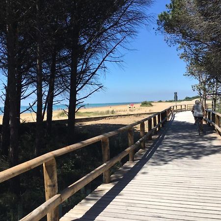 Appartamenti Sirio Via Pesci 6,8,14 Bibione Zewnętrze zdjęcie